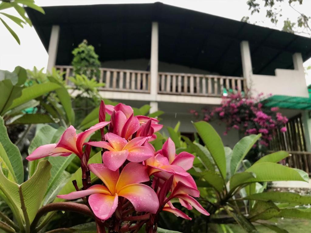 Quinta El Mamey Hotel Río Verde Eksteriør billede