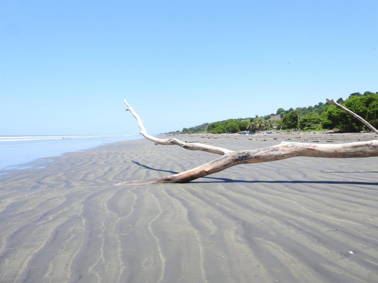 Quinta El Mamey Hotel Río Verde Eksteriør billede