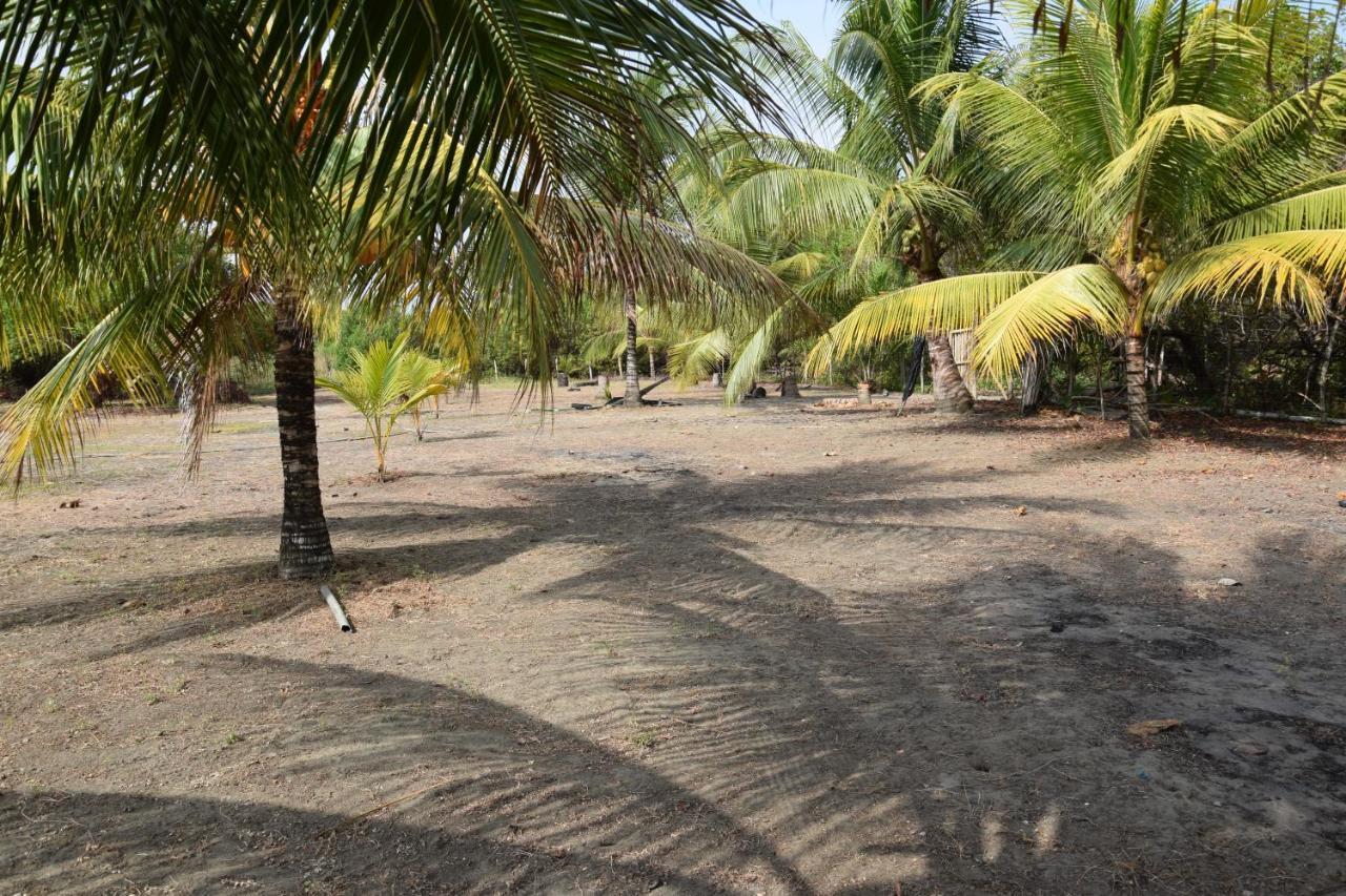 Quinta El Mamey Hotel Río Verde Eksteriør billede